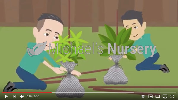 Shipping with Michael's Nursery made easy!
