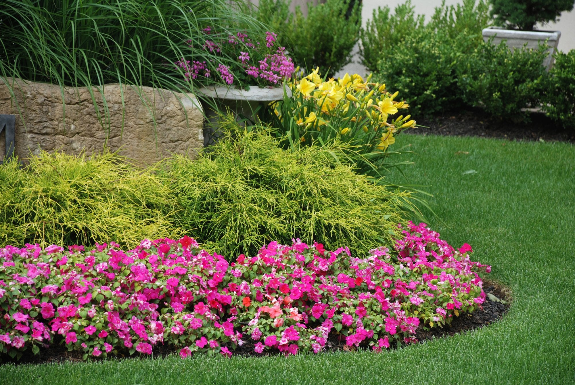 Michaels Nursery - We specialize in evergreen shrubs, flowering shrubs, azalea bushes, and ground covers.